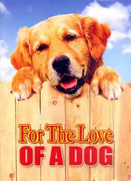 《旺旺心事》：当萌宠变成“恶人鱼”，一场海底世界的爆笑冒险，治愈你的不开心！