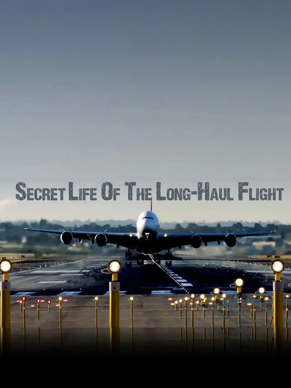 《长途航班的秘密生活》：被困云端，灵魂的放逐与寻觅